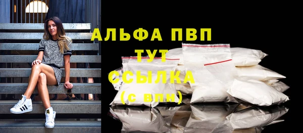 молекула духа Каменск-Шахтинский