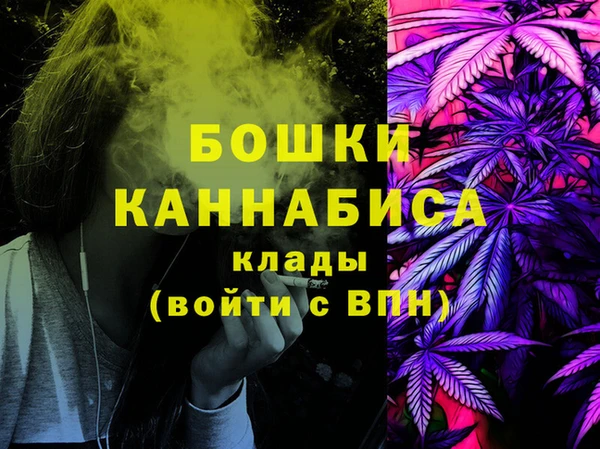 молекула духа Каменск-Шахтинский