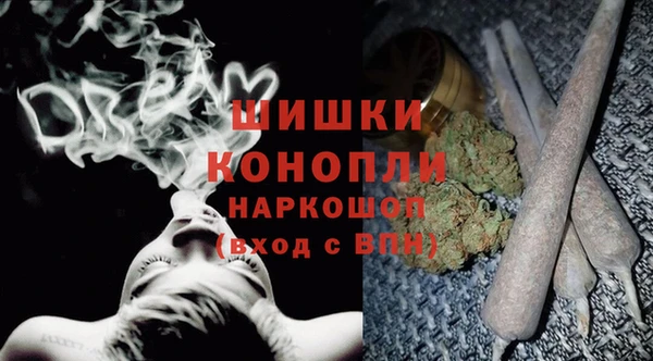 молекула духа Каменск-Шахтинский