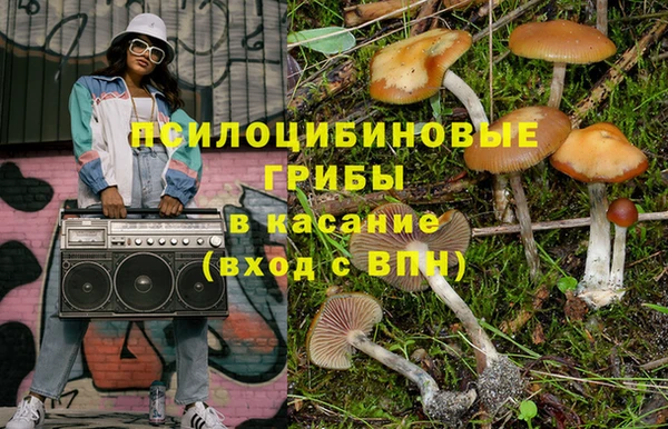 spice Каменногорск