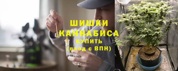 spice Каменногорск